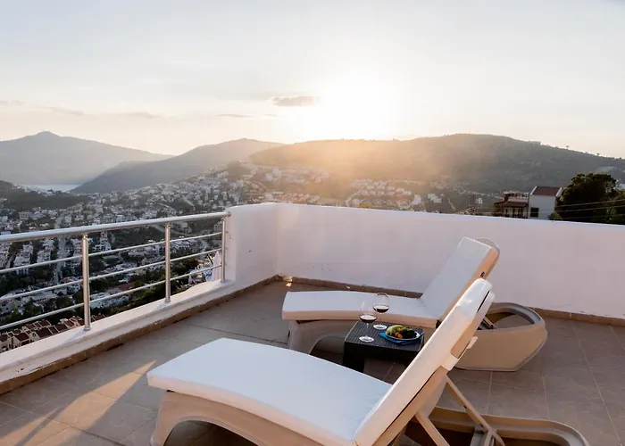 Ayseguel Kalkan
